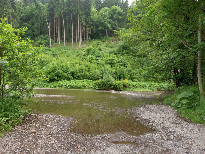 Others 5, Captivating Holiday Home in Malmedy With Sauna, Liège