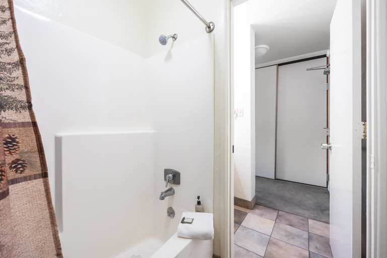 Bathroom 4, 223 Bldg B Condo, Nevada