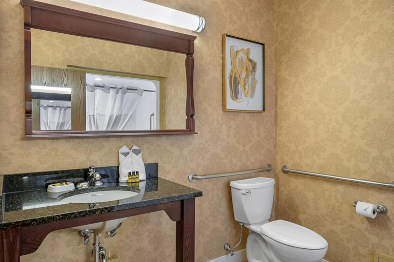 Bathroom 4, Best Western Plus Fredericton Hotel & Suites, York