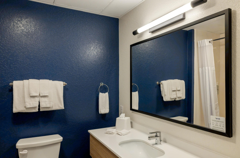 Bathroom 4, Spark by Hilton Hammond, Tangipahoa