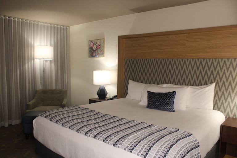 Others 2, Wyndham Flint MI/Grand Blanc/Bishop Airport/Conference Ct, Genesee