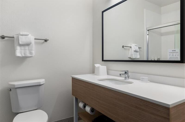 Bathroom 4, Spark by Hilton Indianapolis Northeast Fishers, Hamilton