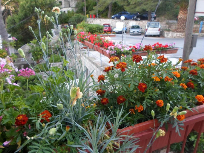 Others 5, Guest House Sobra 38 - Double Room with Garden View 3, Mljet