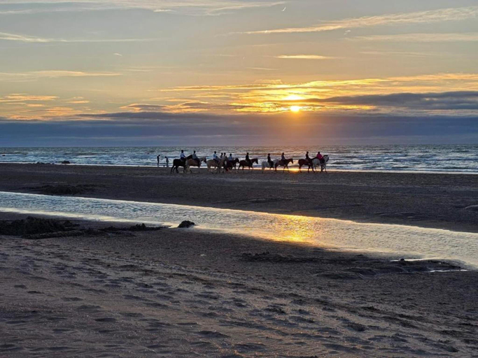4, Apartment in Oostduinkerke near the Coast, West-Vlaanderen
