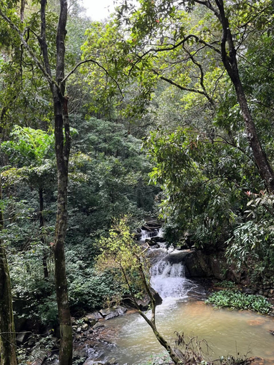 Aerial view 3, Nirjhara Coorg, Kodagu