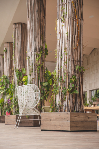 Public Area, Mvngata Beach Hotel, Cozumel