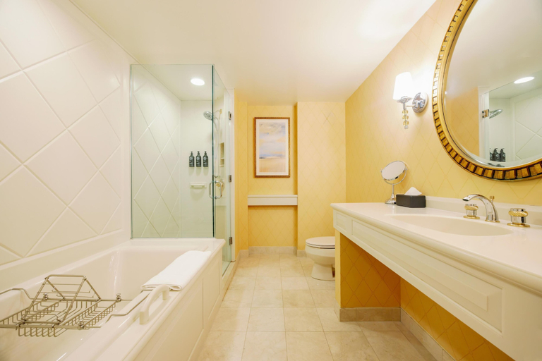 Bathroom 4, Hotel Du Pont, New Castle