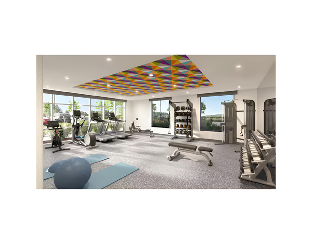 Gym/fitness, Home2 Suites By Hilton Concord Charlotte, Cabarrus