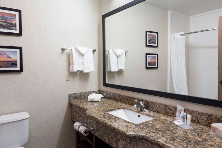 Bathroom 4, Comfort Suites Monroe, Ouachita