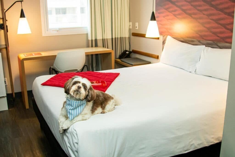 Bedroom 4, ibis Sao Paulo Tatuape, São Paulo