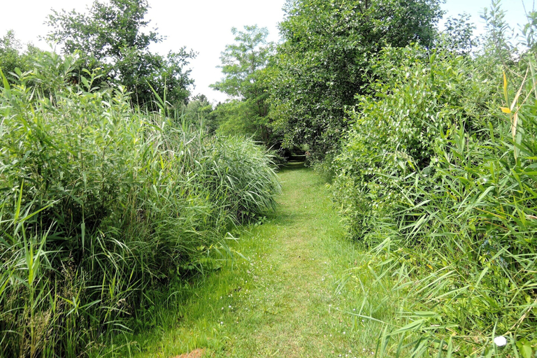 Garden 3, Relaxing Nature Stay by Wolin's Shores, Kamień