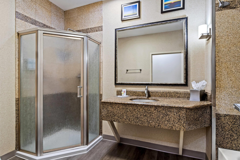 Bathroom 4, Comfort Suites Roswell North, Chaves