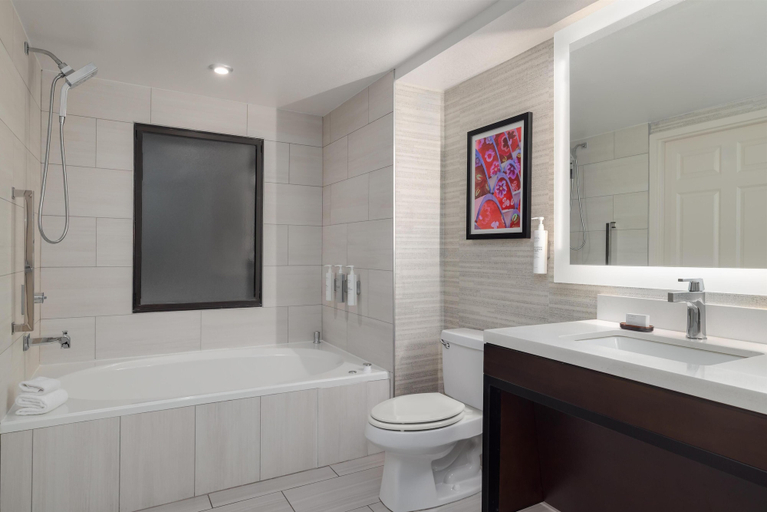 Bathroom 4, Embassy Suites by Hilton Laredo, Webb