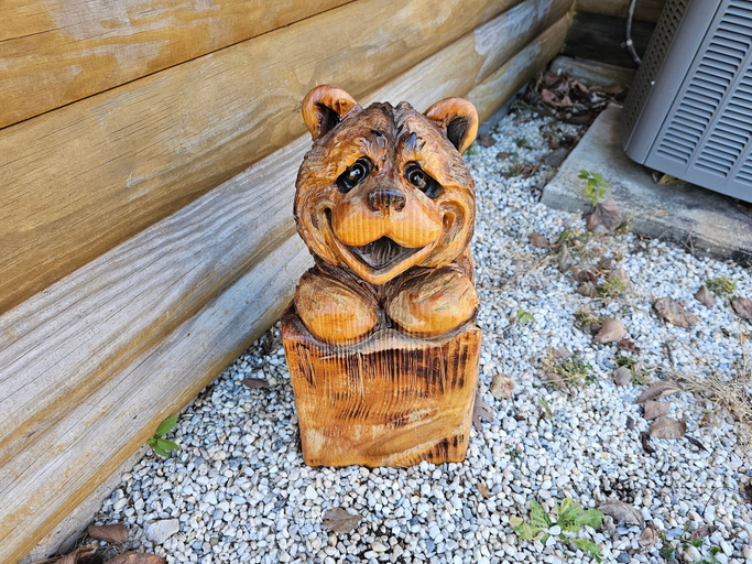 Room 5, Honey Bear Haven Suite 2, Carroll