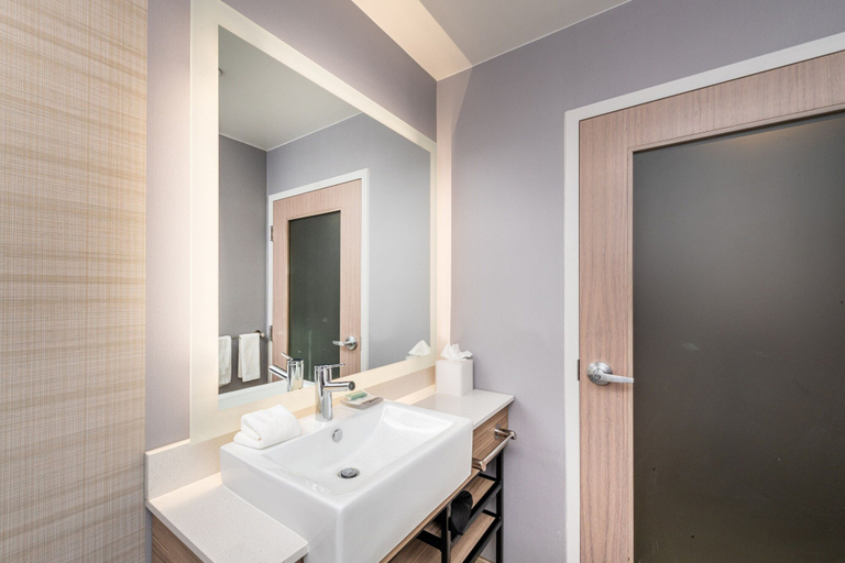 Bathroom 4, SpringHill Suites by Marriott Baltimore Downtown Convention Center Area, Baltimore