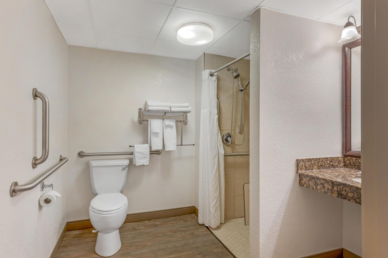 Bathroom 4, Best Western Plus McCall Lodge & Suites, Valley