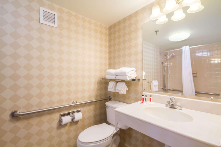 Bathroom 4, Comfort Inn & Suites Buffalo Airport, Erie