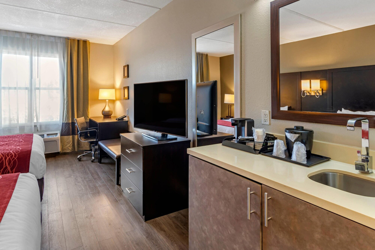 Others 5, Comfort Inn & Suites near Six Flags, Douglas