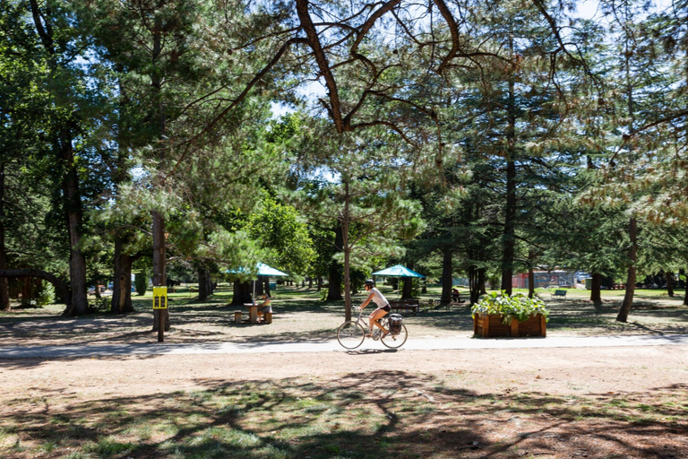 Exterior 5, Sophisticated Inner-city 2-bed With Outdoor Dining, Canberra