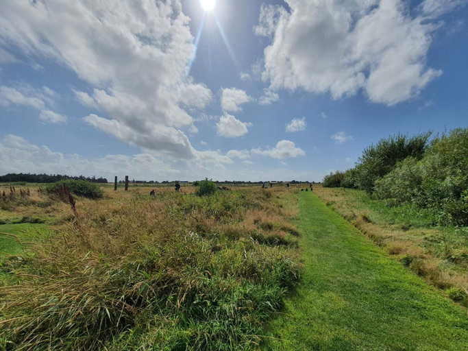 Others 5, 10 Person Holiday Home in Harboore, Lemvig