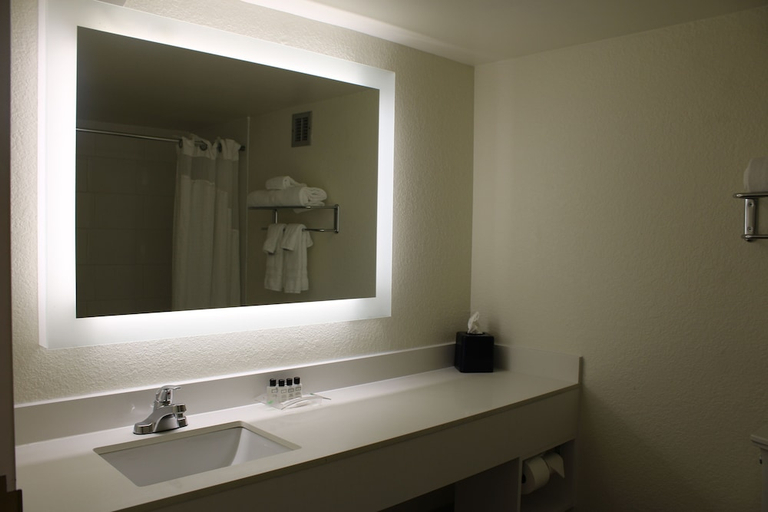 Others 5, Wyndham Flint MI/Grand Blanc/Bishop Airport/Conference Ct, Genesee