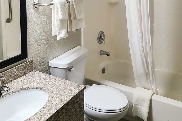 Bathroom 4, Clarion Pointe Bettendorf - Quad Cities, Scott