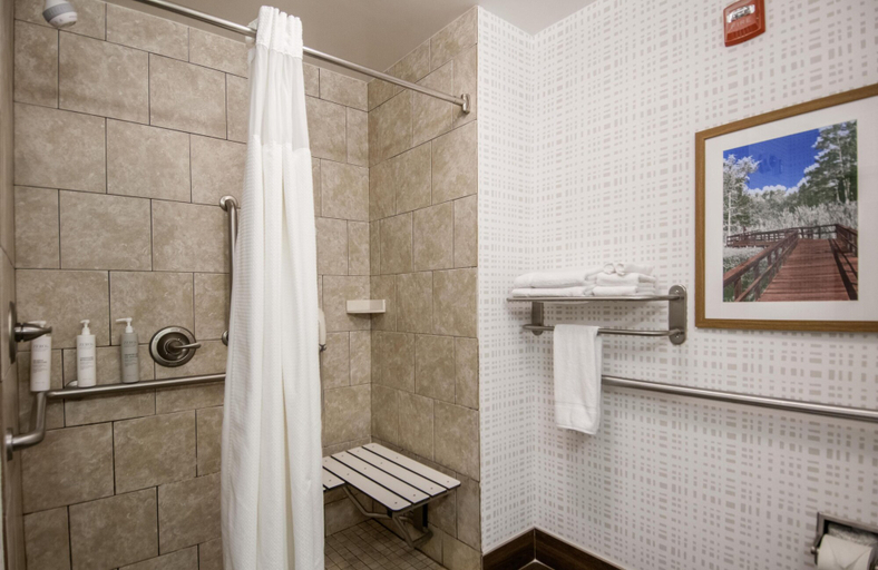 Bathroom 4, Hampton Inn West Monroe, Ouachita