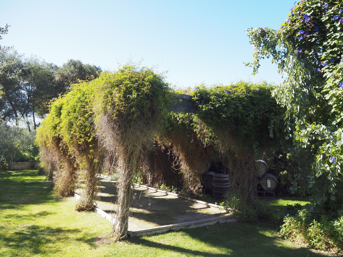 Property grounds 2, La Arboleda, Santa Barbara