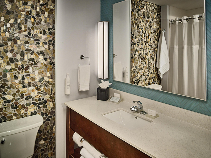 Bathroom 4, Hilton Garden Inn Pigeon Forge, Sevier