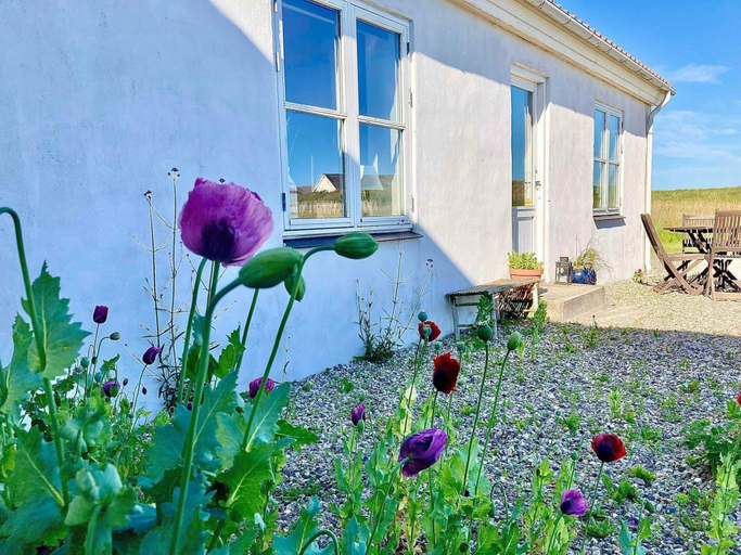 Exterior 2, 5 Star Holiday Home in Lemvig, Lemvig