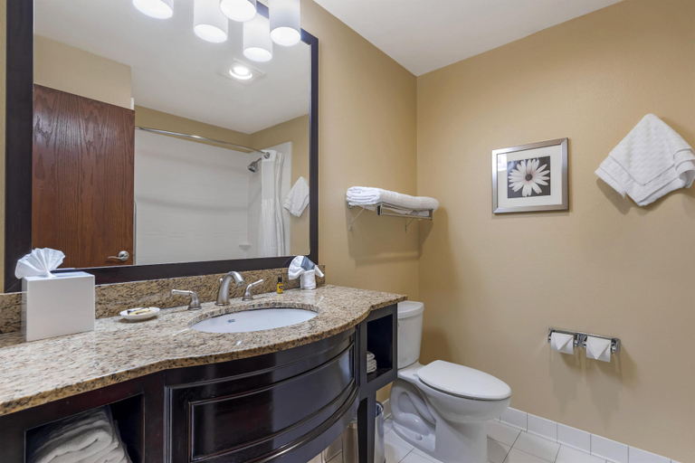 Bathroom 5, Best Western Plus Plaza by the Green, King