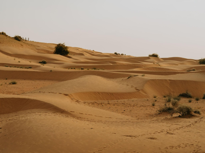 Others 5, Hotel Neem Haveli, Jaisalmer
