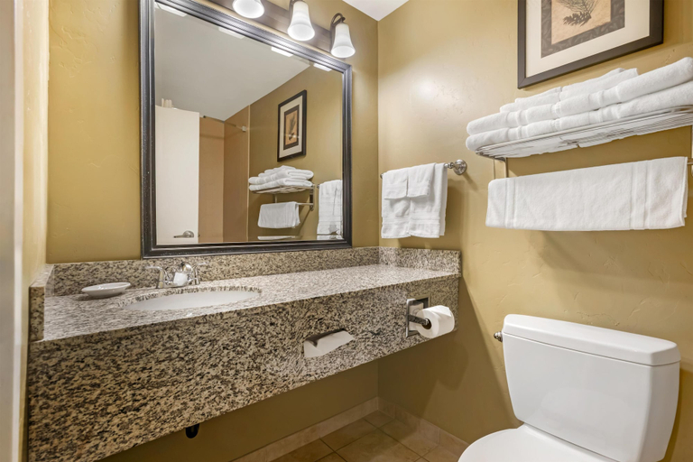 Bathroom 4, Best Western Plus Canyon Pines, Weber