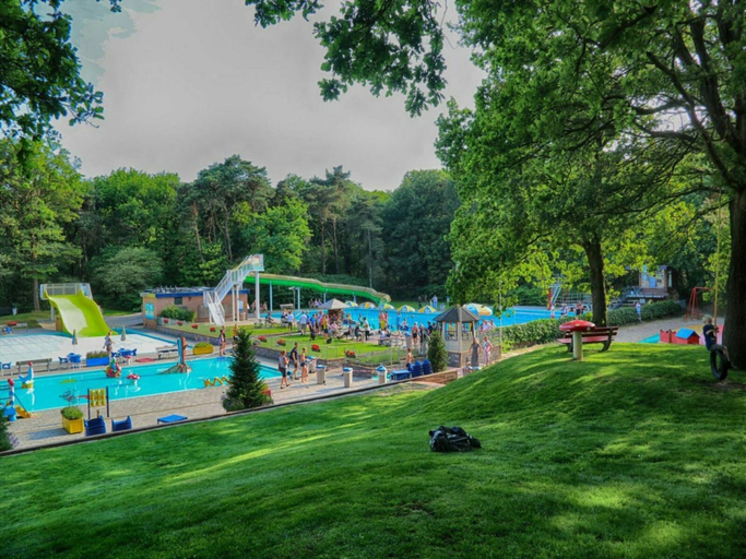 Pool, Luxury Holiday Home in Overijssel, Hardenberg