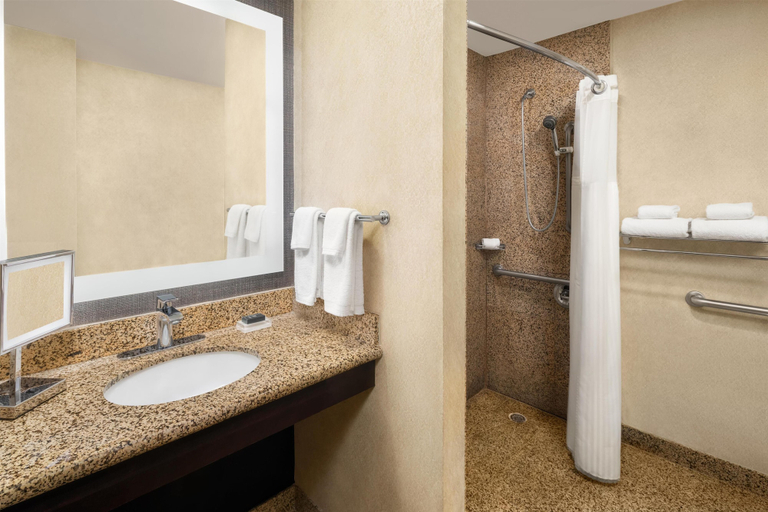 Bathroom 4, Hilton Fort Worth, Fort Worth
