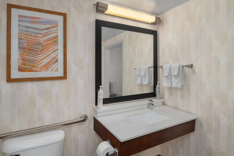 Bathroom 5, Hampton Inn Memphis/Southaven, Desoto