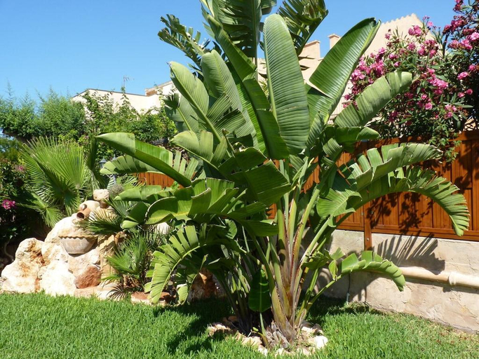 Others 5, Casa Ben Comfortable holiday residence, Baleares