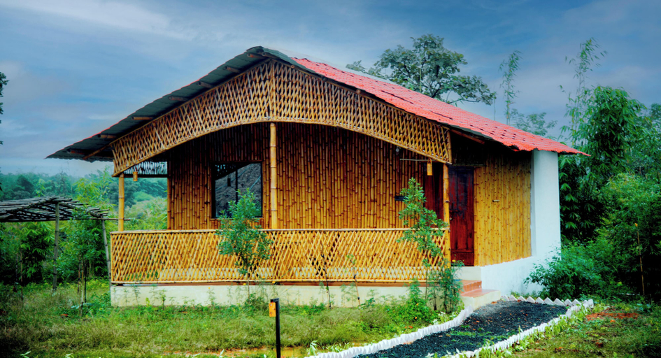 Primary image