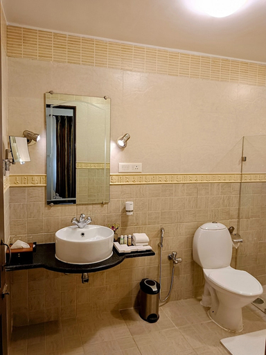 Bathroom 3, Goa Villagio Resort & Spa, South Goa
