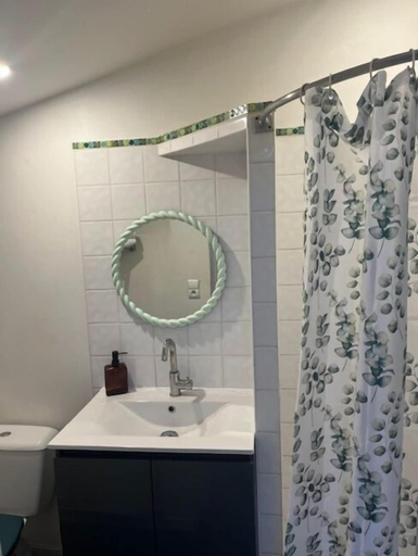 Bathroom 2, Maison Bonnefoy Toulouse, Haute-Garonne