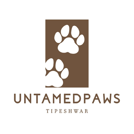 Bedroom, Untamedpaws, Yavatmal