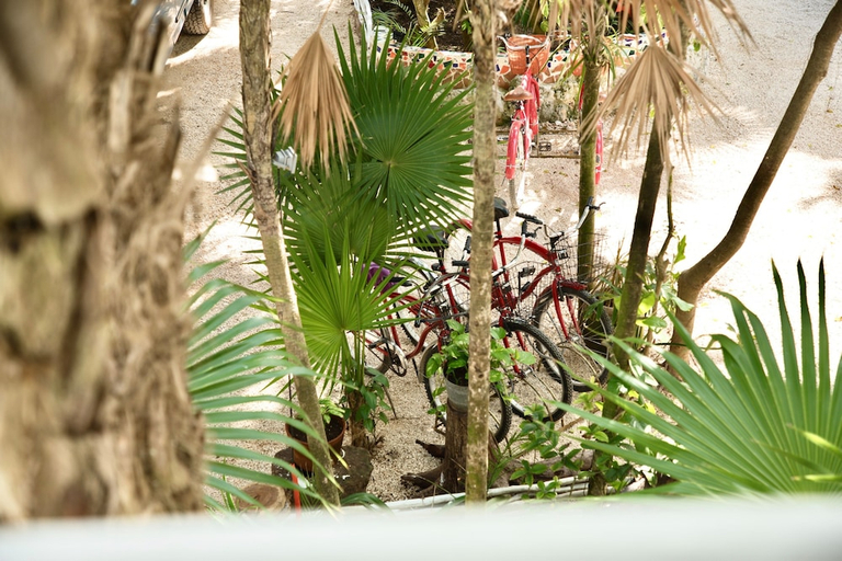 Others 4, Casa Ambar, Cozumel