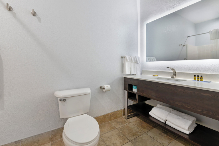 Bathroom 5, Wyndham Garden Appleton, Outagamie