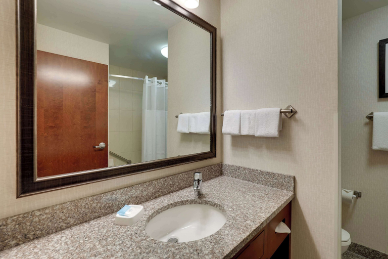 Bathroom 5, Drury Inn & Suites Charlotte Arrowood, Mecklenburg