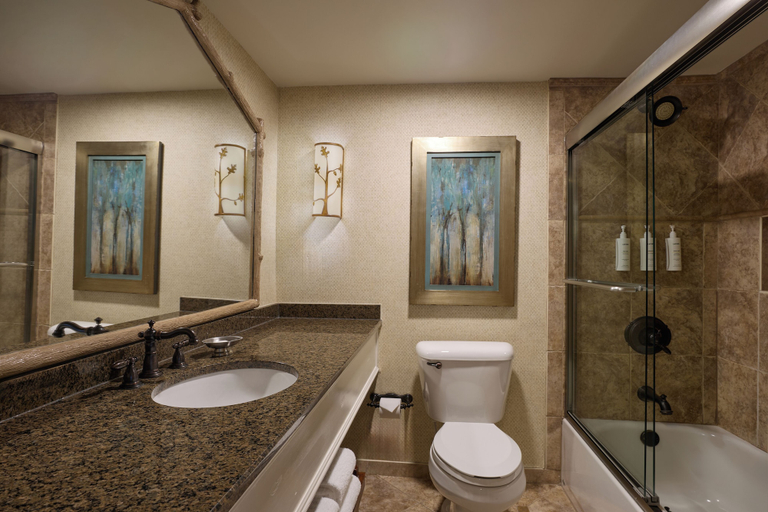 Bathroom 4, Lanier Islands Resort, Hall
