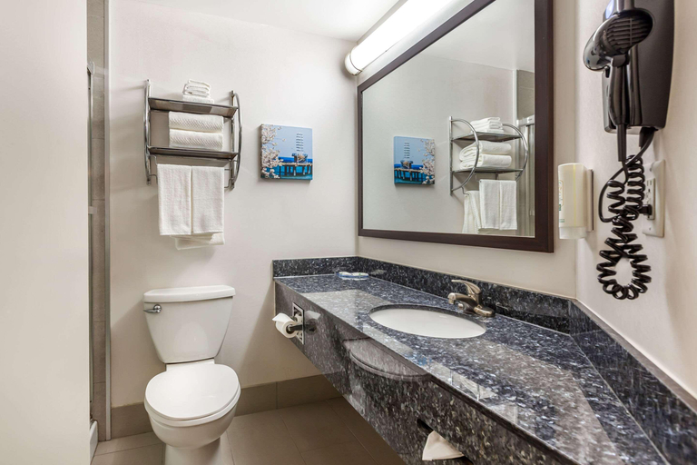 Others 5, Quality Hotel Burlington, ON, Halton