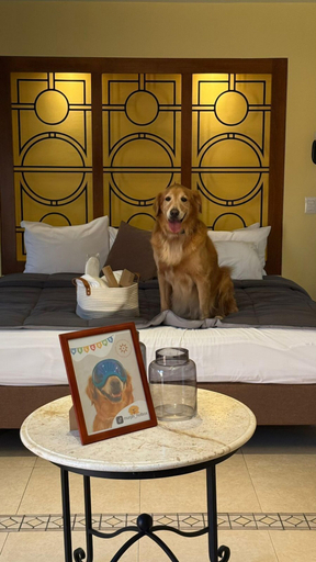 Bedroom 4, Hotel Residencial, Mérida