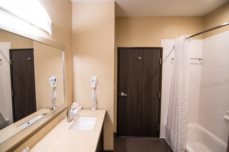 Others 1, Comfort Suites Near Sam Houston Race Park, Houston