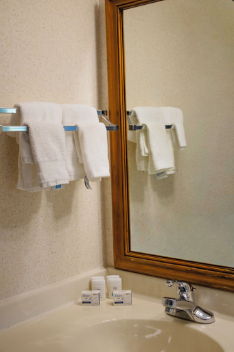 Bathroom 4, Baymont by Wyndham Howell/Brighton, Livingston