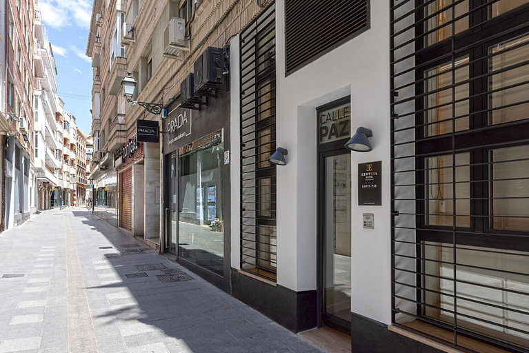 Room 4, Luxury Loft in Granada Center La Paz II, Granada